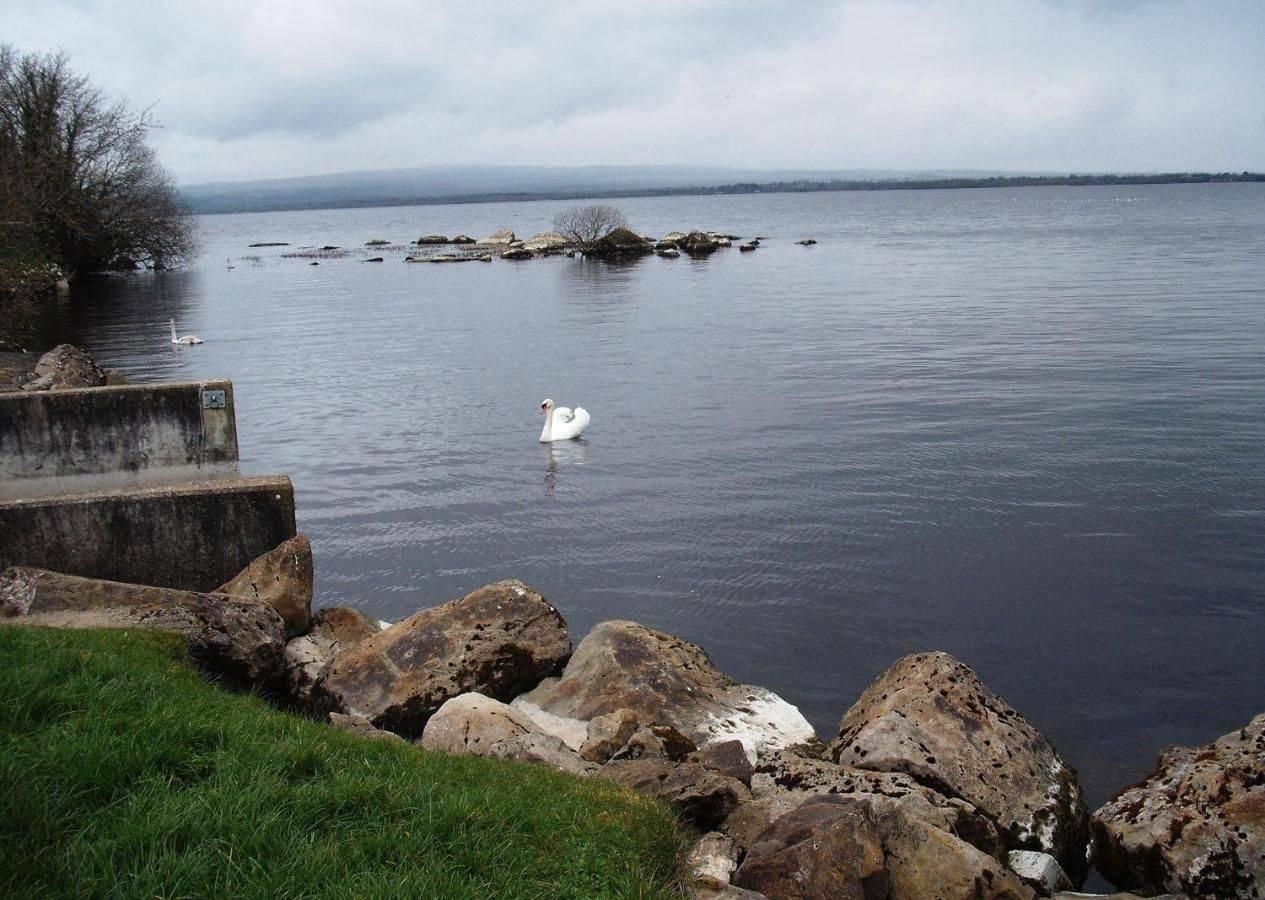 Фото  Maryville Bed and Breakfast Нина 7